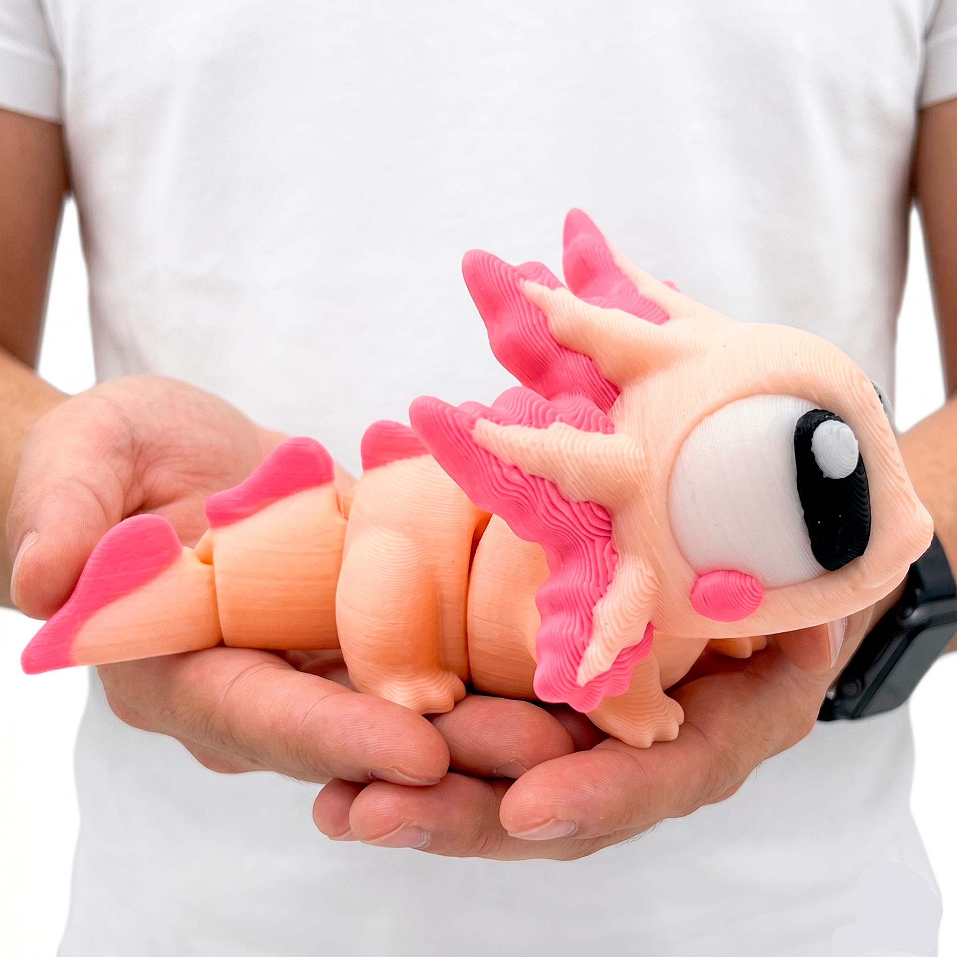 Axolotl - Mega Twisty Fidget Articulado 3D