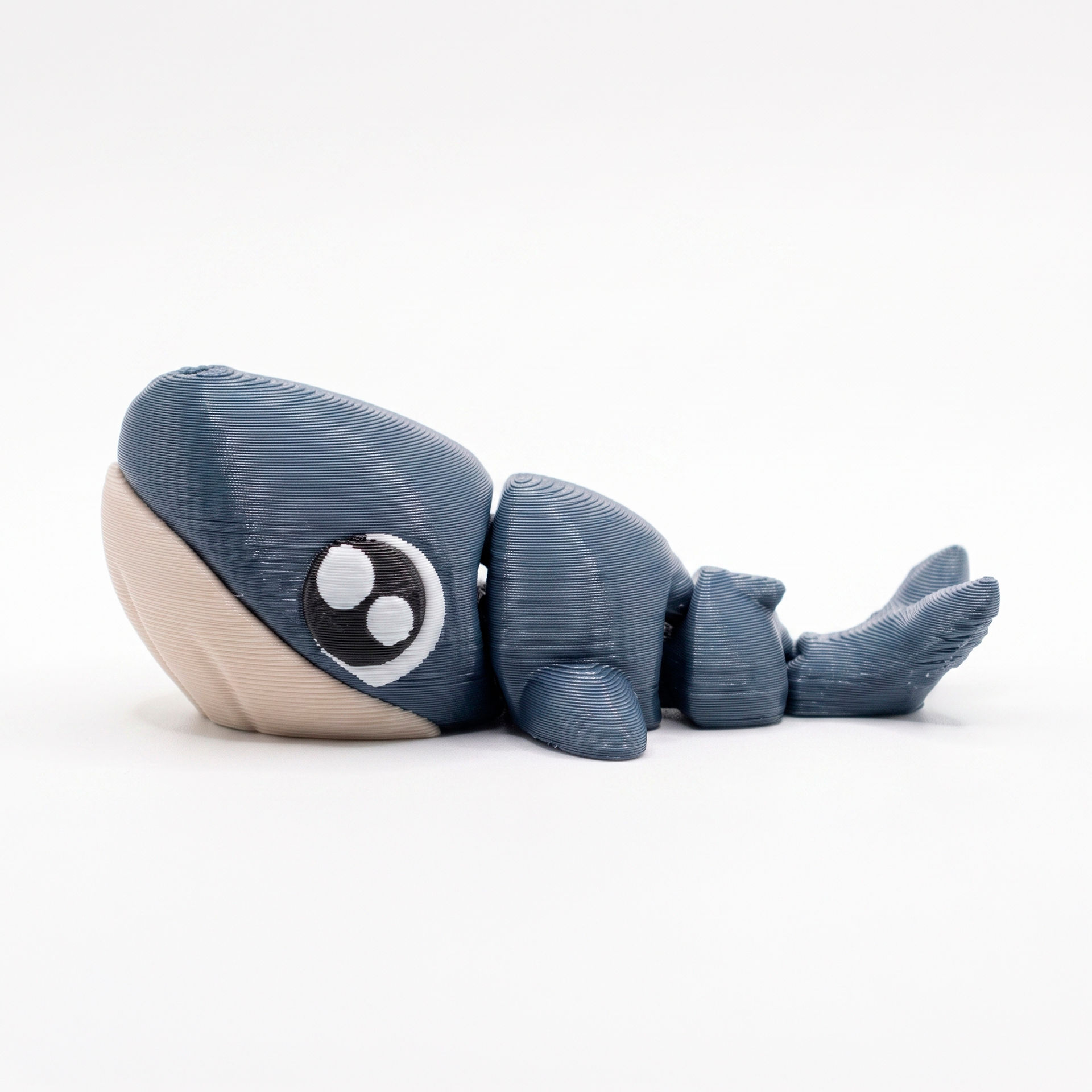 Ballena Jorobada- Fidget Articulado 3D