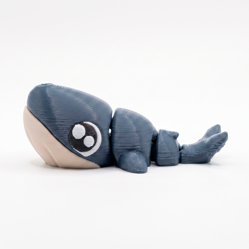 Ballena Jorobada- Fidget Articulado 3D